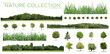 © Production Perig - Very high definition Treeline, grass and tree collection isolated on a white background