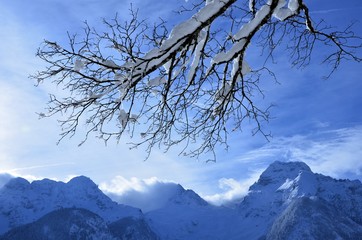 Wall Mural - the lofer mountains winter landscape