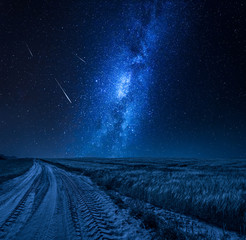 Wall Mural - blue milky way over field with country road at night