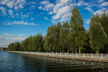 Wall Mural - Ukrainian city Ternopil lake waterfront park outdoor space for promenade, spring season clear weather landscaping 