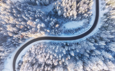 Wall Mural - aerial view on the road and forest at the winter time. natural winter landscape from air. forest und