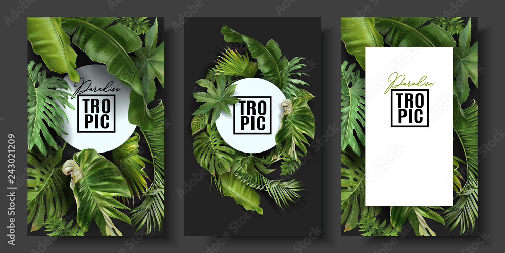 Vector banners set with green tropical leaves - obrazy, fototapety, plakaty 