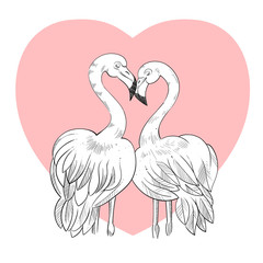 Two flamingos with heart on background, card for valentine's day