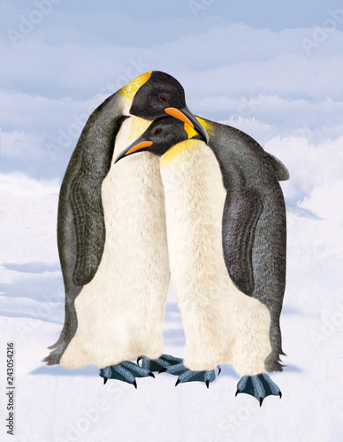 Manchot Pingouin Oiseau Animal Romantique Amour Saint Valentin Couple Romance Tristesse Compassion Tendresse Antarctique Neige Blanc Nature Faune Glace Hiver Froid Empereur Joli Stock Illustration Adobe Stock Manchot Pingouin Oiseau Animal Romantique Amour Saint Valentin Couple Romance Tristesse Compassion Tendresse Antarctique Neige Blanc Nature Faune Glace Hiver Froid Empereur Joli Stock Illustration Adobe Stock