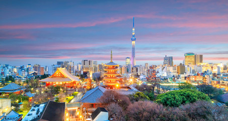 Wall Mural - View of Tokyo skyline at twilight