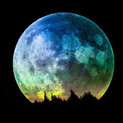 Canvas Print - the full moon rises over the spruce forest, composite image, elements of the image furnished by nasa