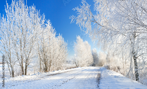 winter rural landscape with forest and road