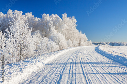 winter landscape with road and forest
