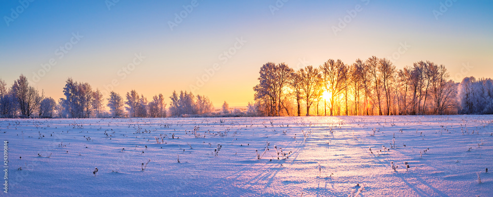 winter landscape panorama with sunrise - obrazy, fototapety, plakaty 
