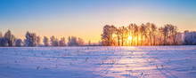 Winter Landscape Panorama With Sunrise