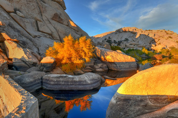 Wall Mural - Barker Dam - Joshua Tree National Park