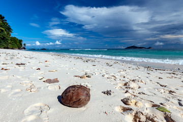 Tropical beach