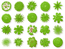 Top View Plants. Tropical Trees, Green Plant Tree From Above For Aerial Map Isolated Vector Collection