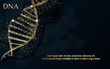 DNA sequence, DNA code structure with gold glow. Science concept background. Nano technology. Vector illustration, black background with space for text