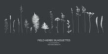 Vector Silhouettes Collection. Set Of Field Flowers, Herbs.