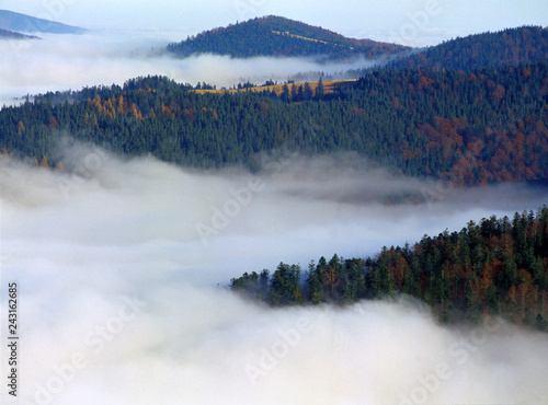 Dekoracja na wymiar  gorczanski-park-narodowy-w-chmurach-gorce-polska