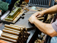 Traditional Manufacture Of Cigars At The Tobacco Factory. Closeup Of Old Hands Making A Cigar From Tobacco Leaves In A Traditional Cigar Manufacture. Close Up Hands Making A Cigar From Tobacco Leaves