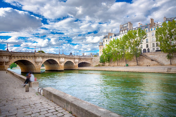 Wall Mural - view of the pont neuf, paris