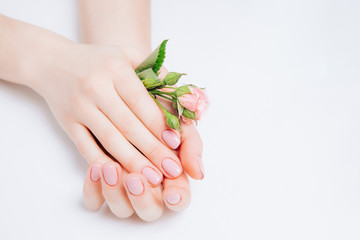 Close-up beautiful sophisticated female hands with pink flowers on white background. Concept hand care spa cream.