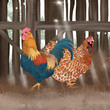 Chickens in a Barn