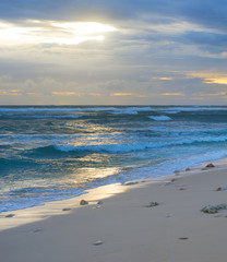 Poster - Bali beach at sunset. Indonesia