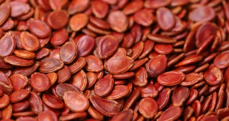 Canvas Print - Red watermelon seed