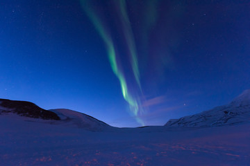 Wall Mural - the polar arctic northern lights aurora borealis sky star in norway svalbard in longyearbyen the moo