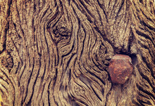 Wooden Background Of Old Wooden Railway Sleeper, Rusty Hexagon Nut Or Iron Screw