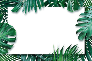 summer tropical leaves with blank paper on white background