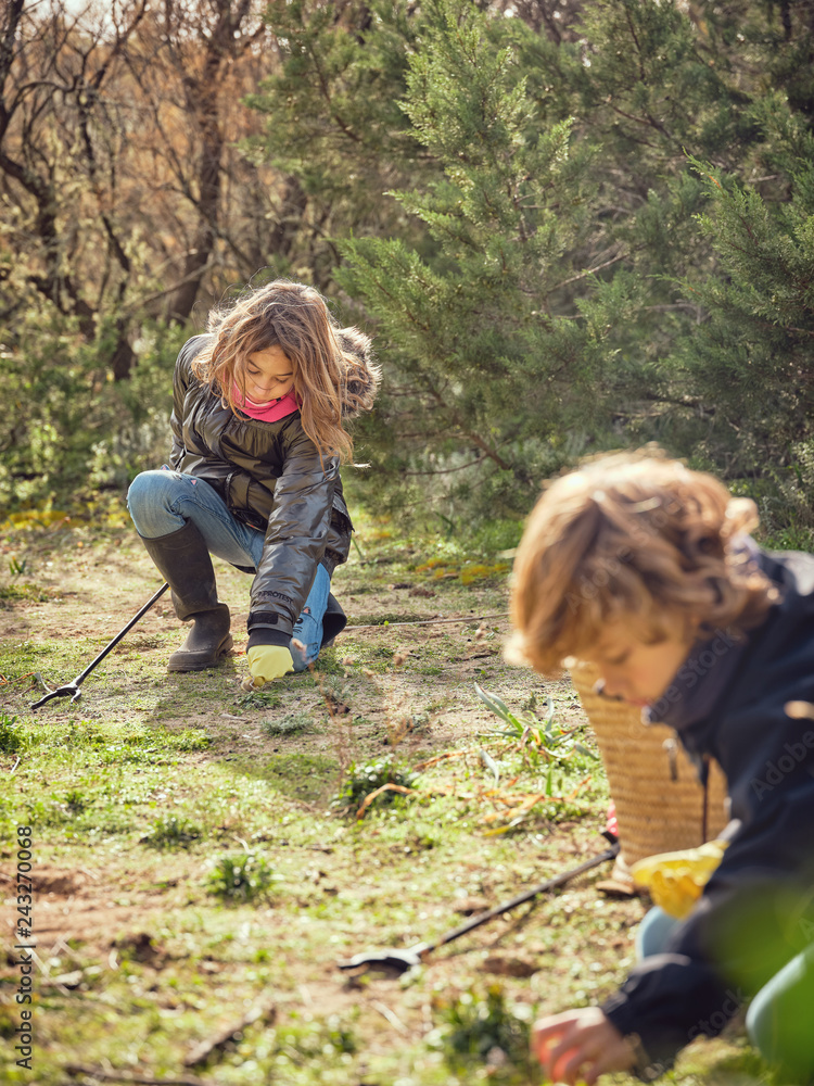 Boy and girl picking up garbage from ground Stock Photo | Adobe Stock