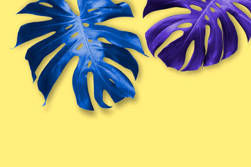 Wall Mural - Summer tropical leaves on yellow background with copy space minimal style