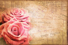 Pink Roses, Vintage Postcard On Textured Parchment Background