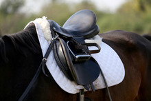 Close Up Of A Sport Saddle On Equestrian Event