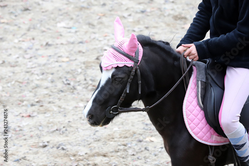 Fotografía Rider girl at advanced dressage test on equestrian competition