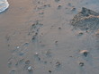 footprints on beach