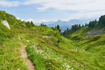 Poster - Wanderweg in den Bergen neben Tal mit Bach