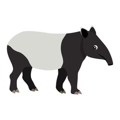 Cute friendly wild animal, black and white tapir icon, vector illustration isolated on white background