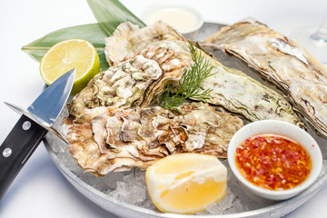 Wall Mural - Dish with oysters on a white background