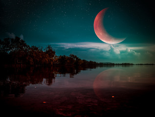 Wall Mural - beautiful red crescent and cloudy above silhouettes of trees, lake area.