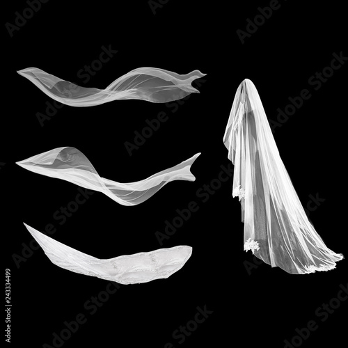 Fotografía Veil on the black ba ckground