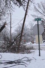 Poster - Storm Damage