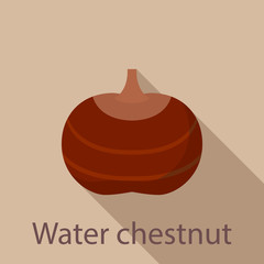 Canvas Print - Water chestnut icon. Flat illustration of water chestnut vector icon for web design