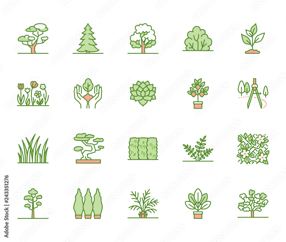 Trees flat line icons set. Plants, landscape design, fir tree, succulent, privacy shrub, lawn grass, flowers vector illustrations. Thin green signs for garden store - obrazy, fototapety, plakaty 