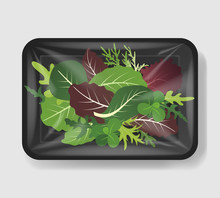 Mix Of Salad Leaves In Plastic Tray Container With Cellophane Cover. Mockup Template For Your Design. Plastic Food Container. Vector Illustration.