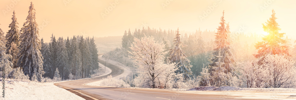 Winter landscape, Winter Forest,  Winter road and trees covered with snow, Germany - obrazy, fototapety, plakaty 