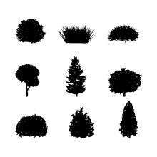 Collection Of Tree And Shrub Silhouettes Vector