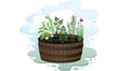 Garden Herb Barrel