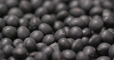 Sticker - Black soy bean