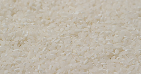 Canvas Print - White uncooked rice