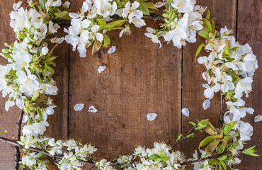 Wall Mural - Easter or  spring concept: Beautiful pear blossom frame on the vintage wooden background